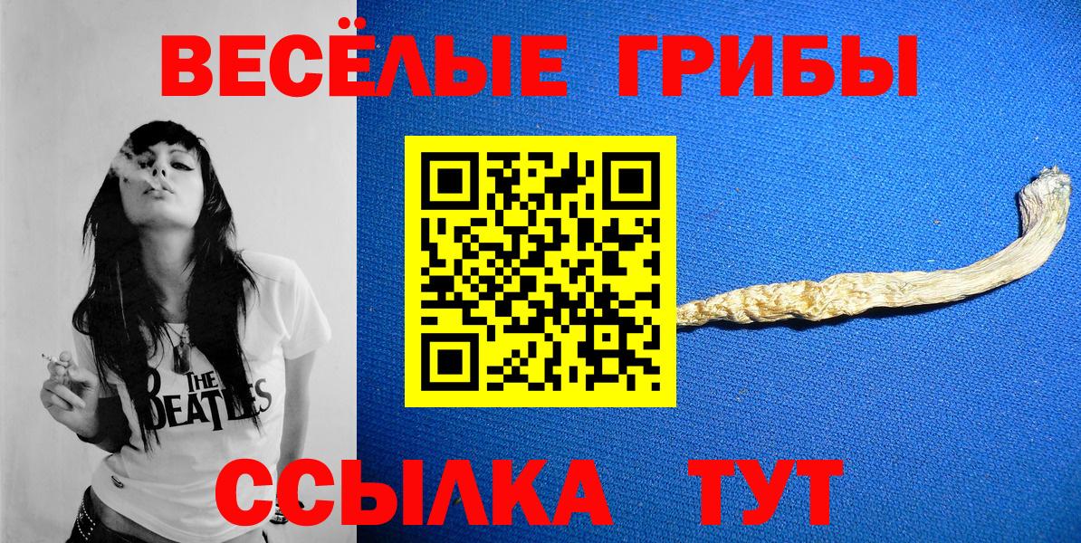 Галлюциногенные грибы GOLDEN TEACHER  купить наркотик  Джанкой  Галлюциногенные грибы Psilocybine cubensis  Вход с VPN 