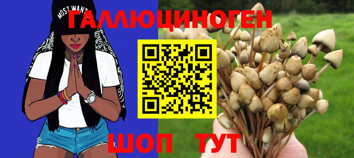 Псилоцибиновые грибы GOLDEN TEACHER Джанкой